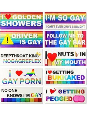 10PCS Colorful LGBT Pride Stickers - Funny Rainbow Bumper Decals for Car & More